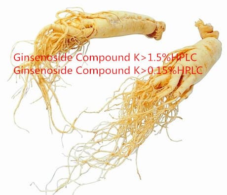 Ginsenoside Compound K 1-5- HPLC